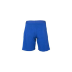 Short Tecnifibre Stretch Bleu Royal